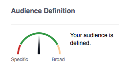 audience-definition